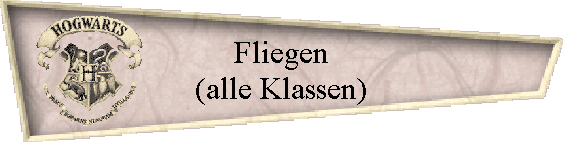 Fliegen
(alle Klassen)